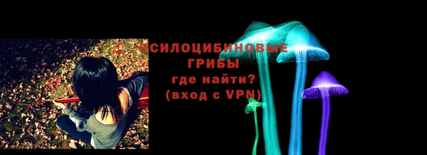 индика Алексеевка