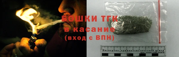 индика Алексеевка