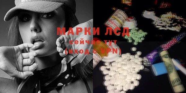 индика Алексеевка