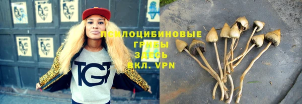 индика Алексеевка