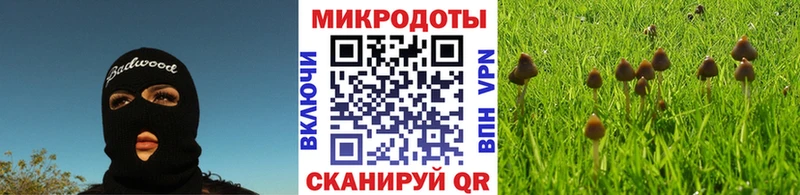 где продают наркотики  МЕГА как войти  Галлюциногенные грибы Psilocybine cubensis  Нижний Новгород 